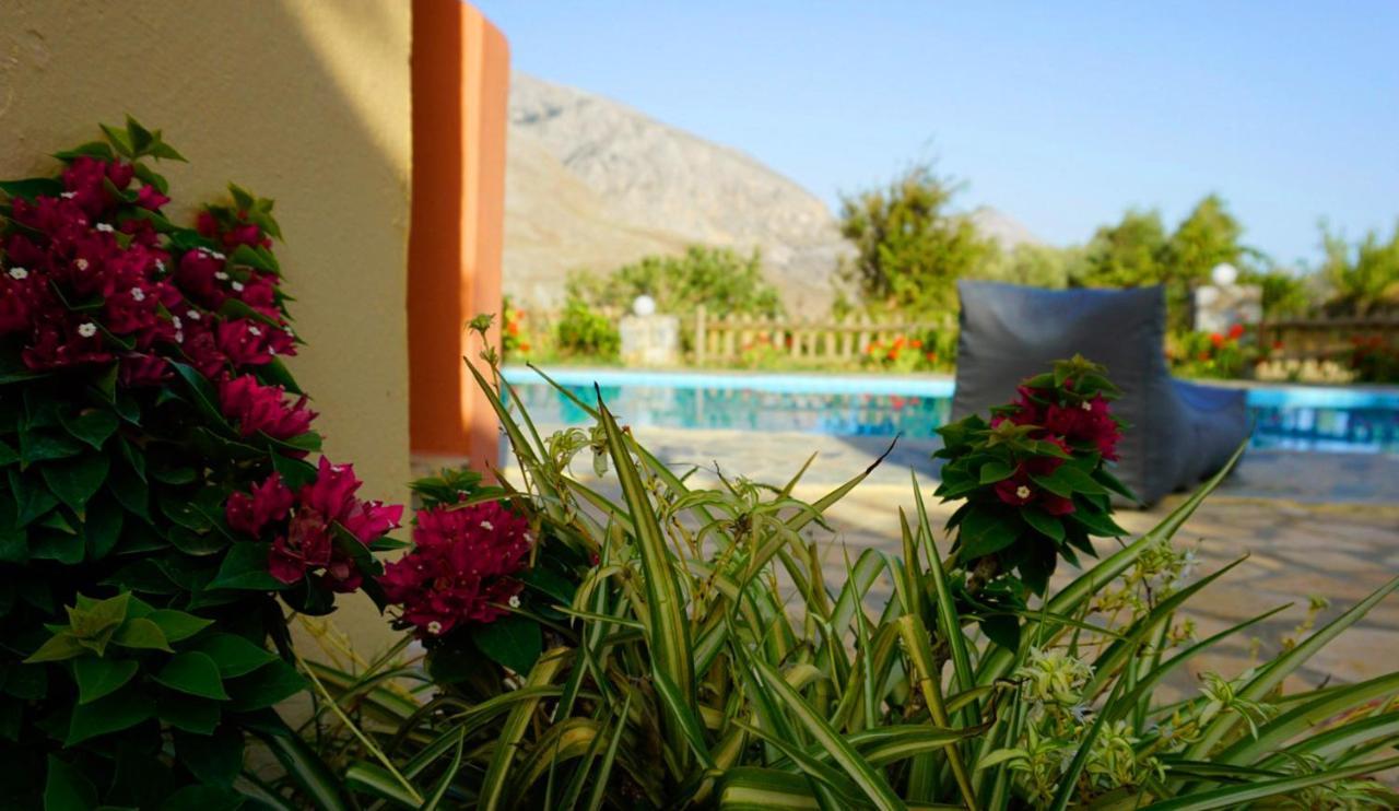 Villa Despina 1 Plakias Private Villa, Private Swimming Pool Garden,Amazing View Lefkogeia Bagian luar foto